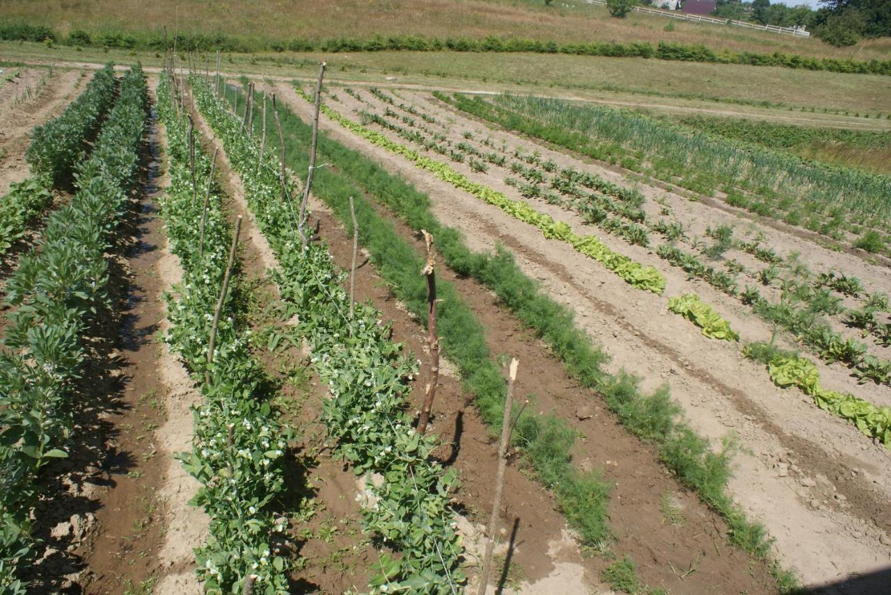 Agrodomki Okej-Bialy Dom Gardna Wielka Bagian luar foto