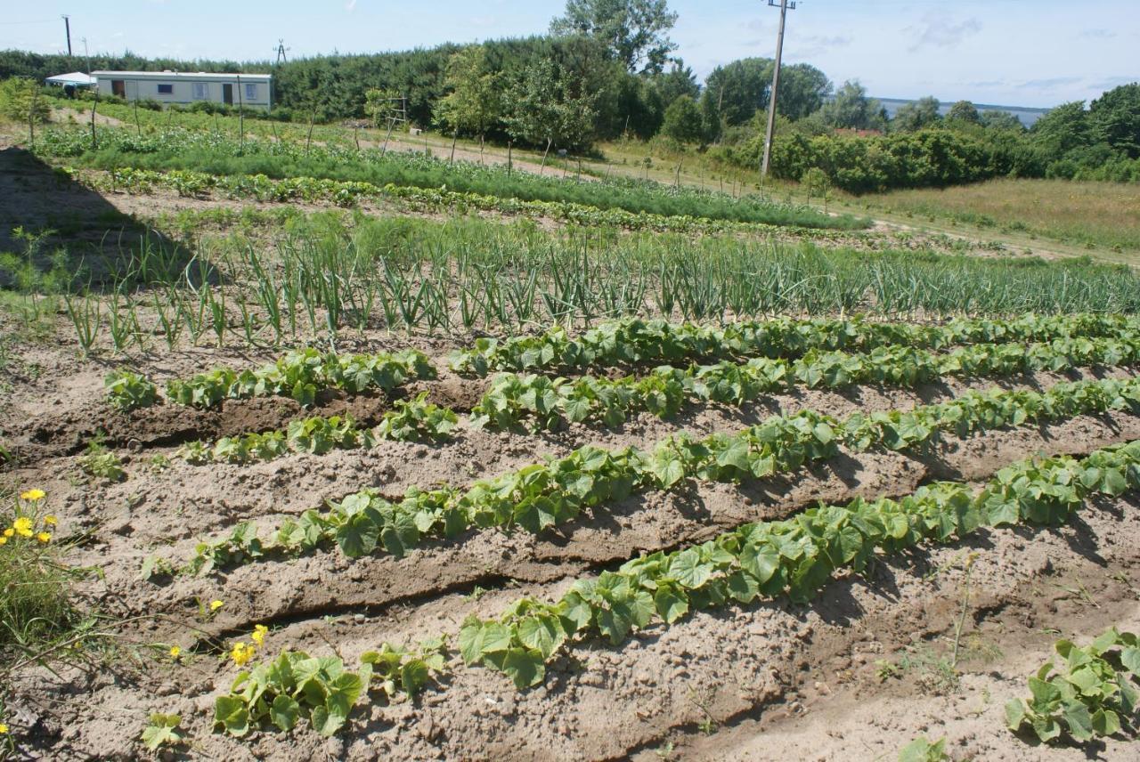 Agrodomki Okej-Bialy Dom Gardna Wielka Bagian luar foto